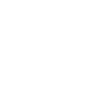 House Symbol Icon