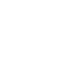 Voice and Silence Theme Icon