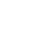 Keystone  Symbol Icon