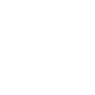 The Car Symbol Icon