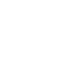 Government, Politics, and Foreign Affairs Theme Icon