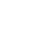 The Neurological Community Theme Icon