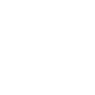 The Gun Symbol Icon