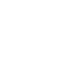 The Red Rose Symbol Icon