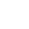 The Raven Symbol Icon