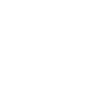 The Gull  Symbol Icon
