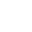 The Lion Symbol Icon