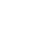 The Red Light Symbol Icon