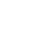 Government and the Separation of Powers Theme Icon