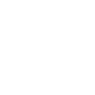 The Paintings and the Novel Symbol Icon
