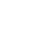 Perception and Truth Theme Icon