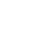 Sunflower Symbol Icon
