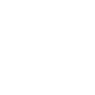 The American Plane Symbol Icon