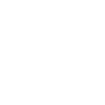 The Wall Symbol Icon