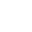The White Tiger Symbol Icon