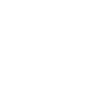 The Wind-Up Bird Symbol Icon