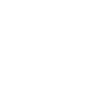 Justice and Responsibility Theme Icon