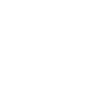 Spirit Bear Symbol Icon