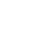 Secret ballot Symbol Icon
