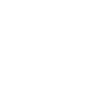 The Patterns of Domestic Life Theme Icon