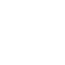 La Virgen de Guadalupe  Symbol Icon