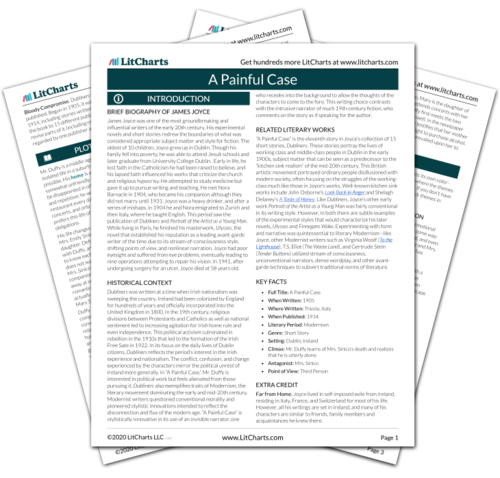 A Painful Case Summary Analysis Litcharts