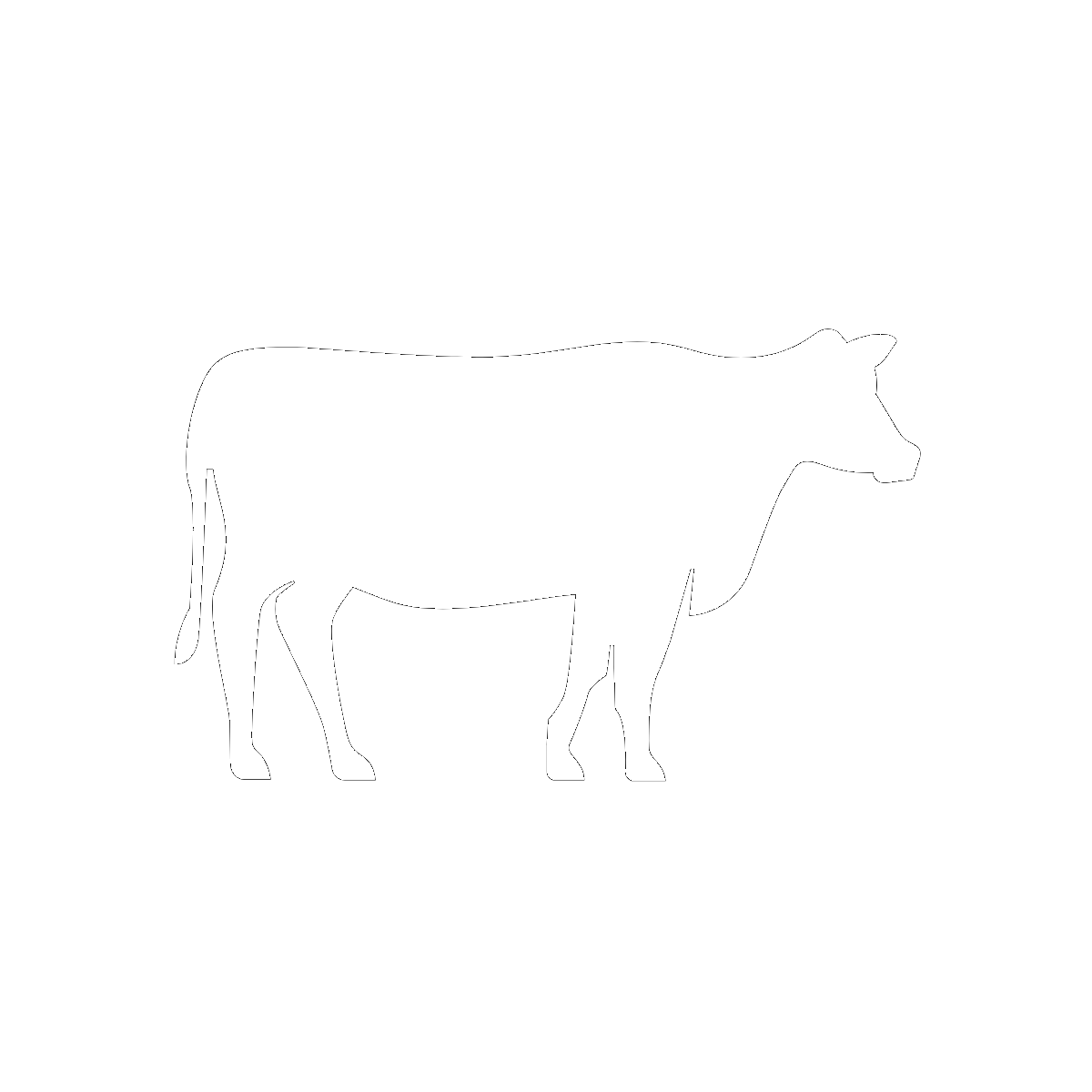 Symbol Cows