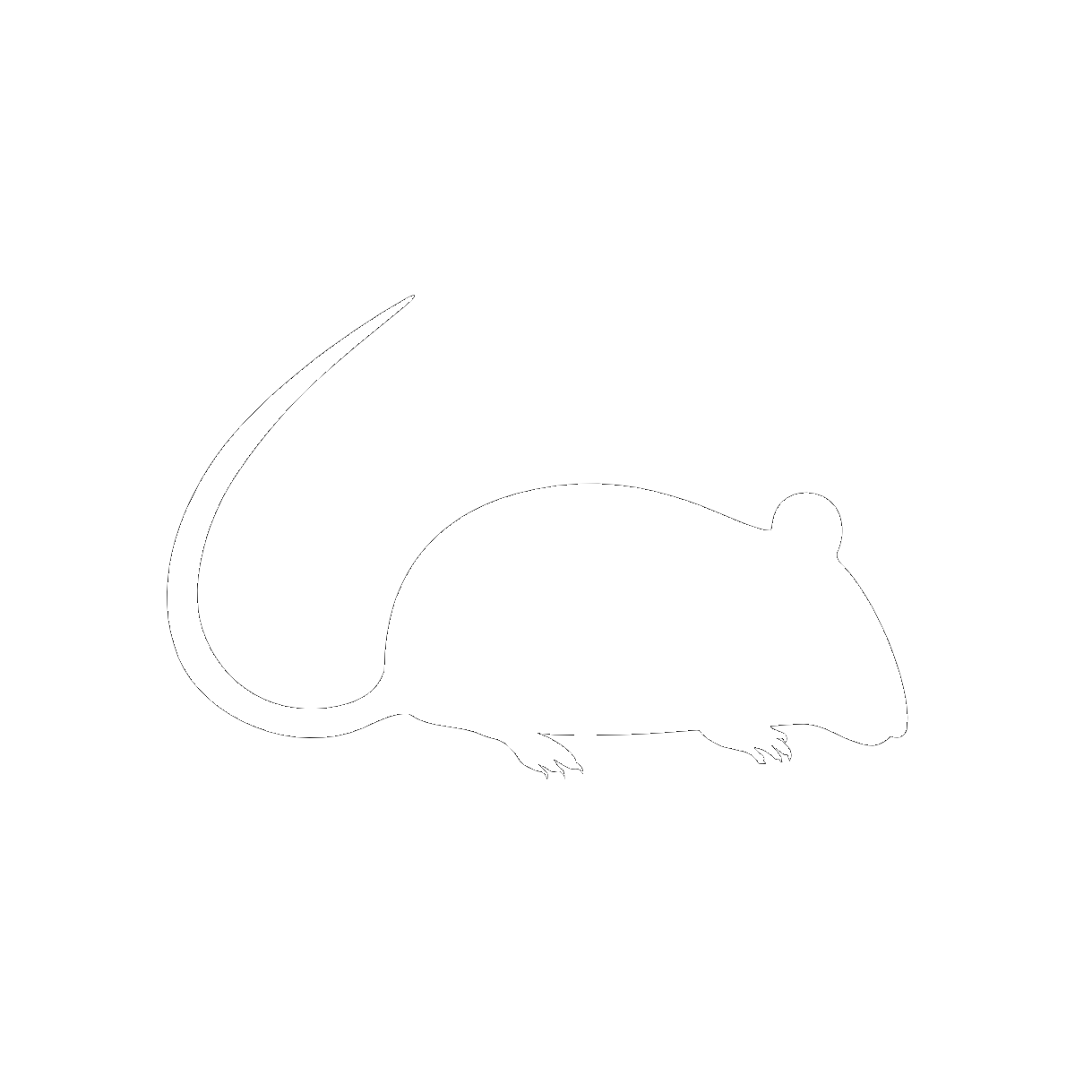 Symbol The Mouse