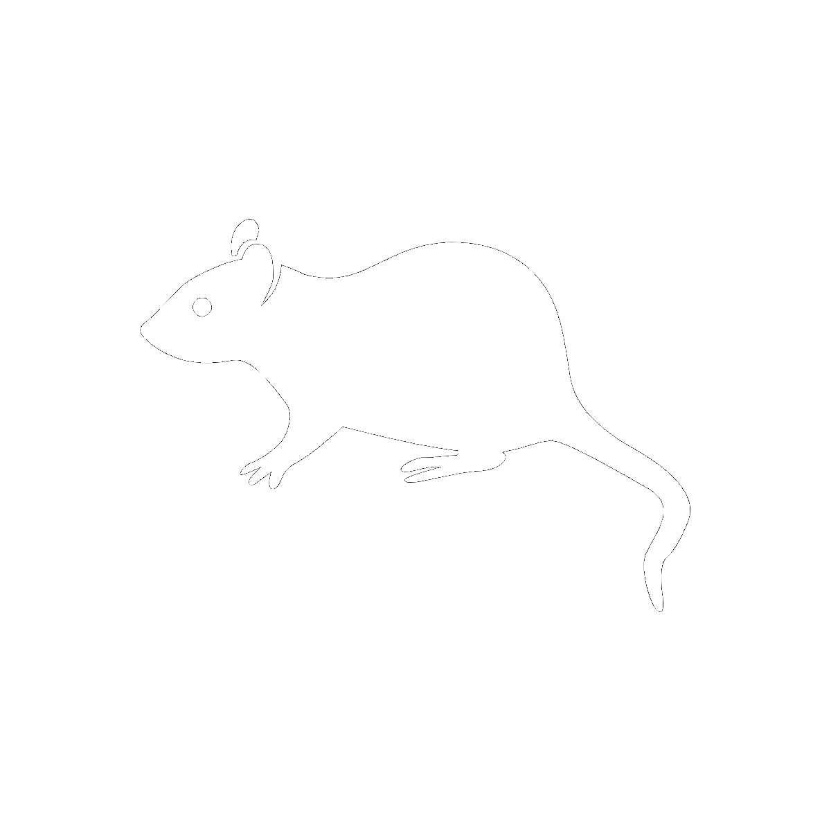 Symbol The Rat