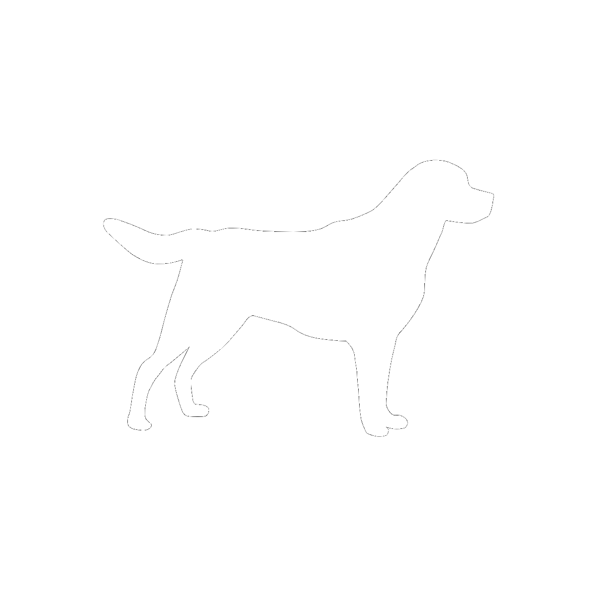 Symbol The Dog