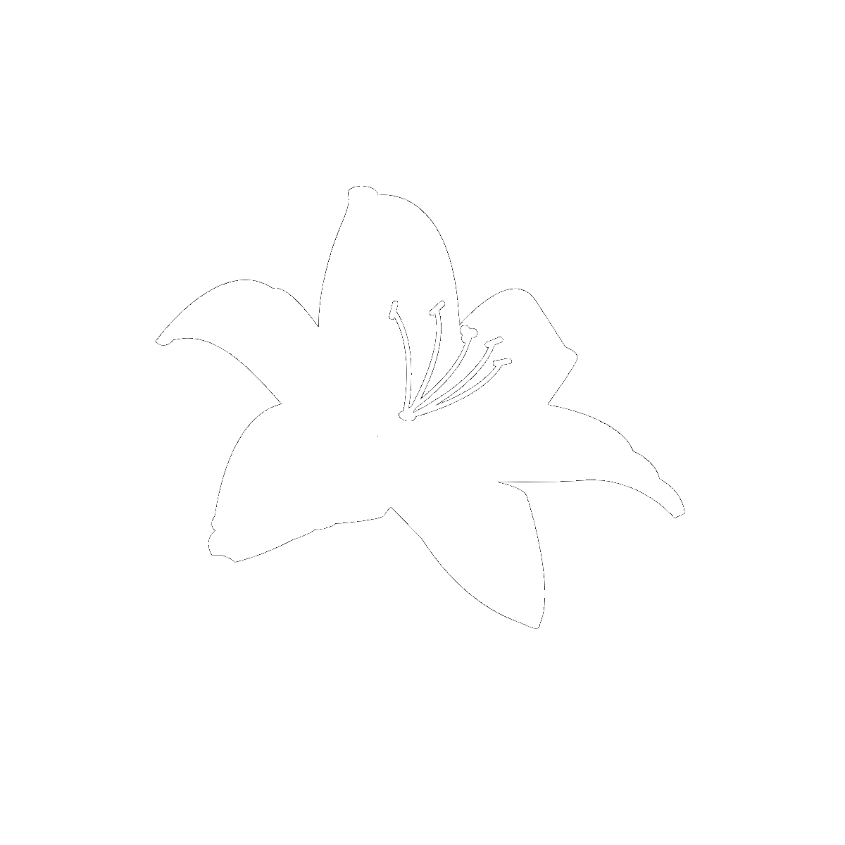 符号Lilies
