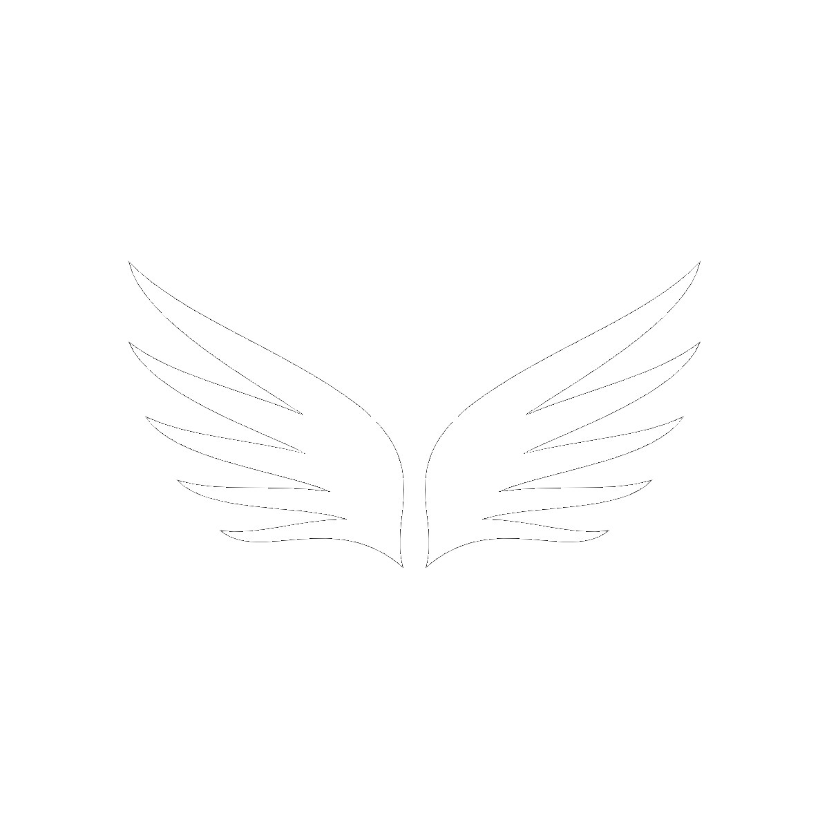 Symbol Wings and Flight