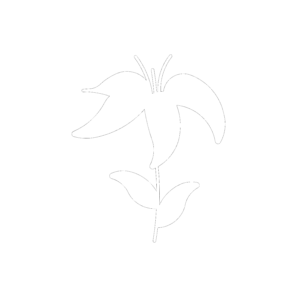 Symbol Lilies