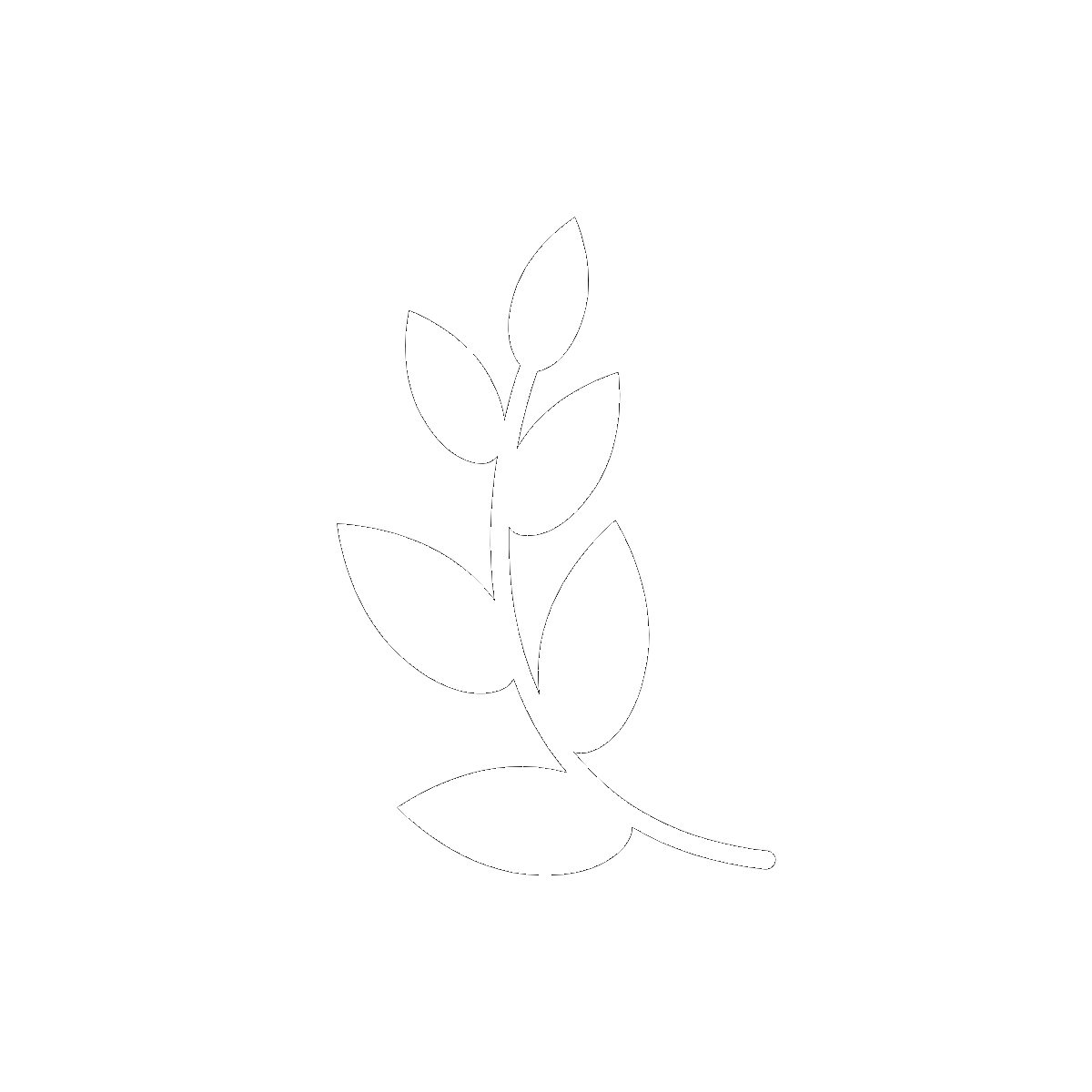 Symbol The Laurel Tree