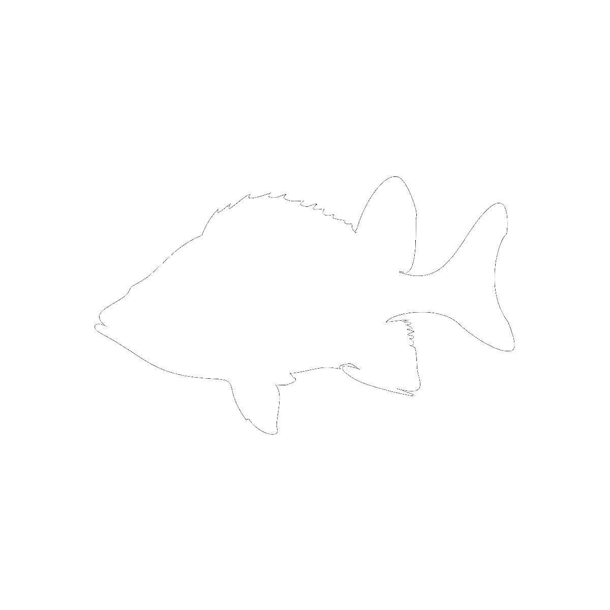Symbol Fish, Water, and the Ocean