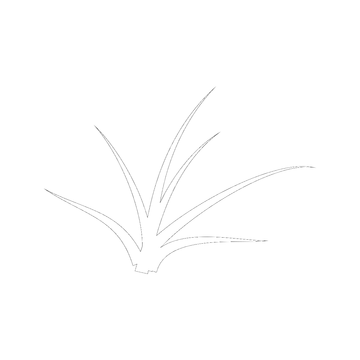 Symbol The Witchgrass