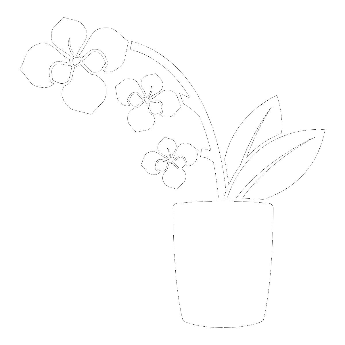 Symbol The Orchid