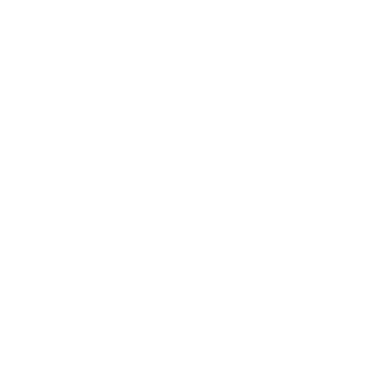 Symbol The Modern Shield