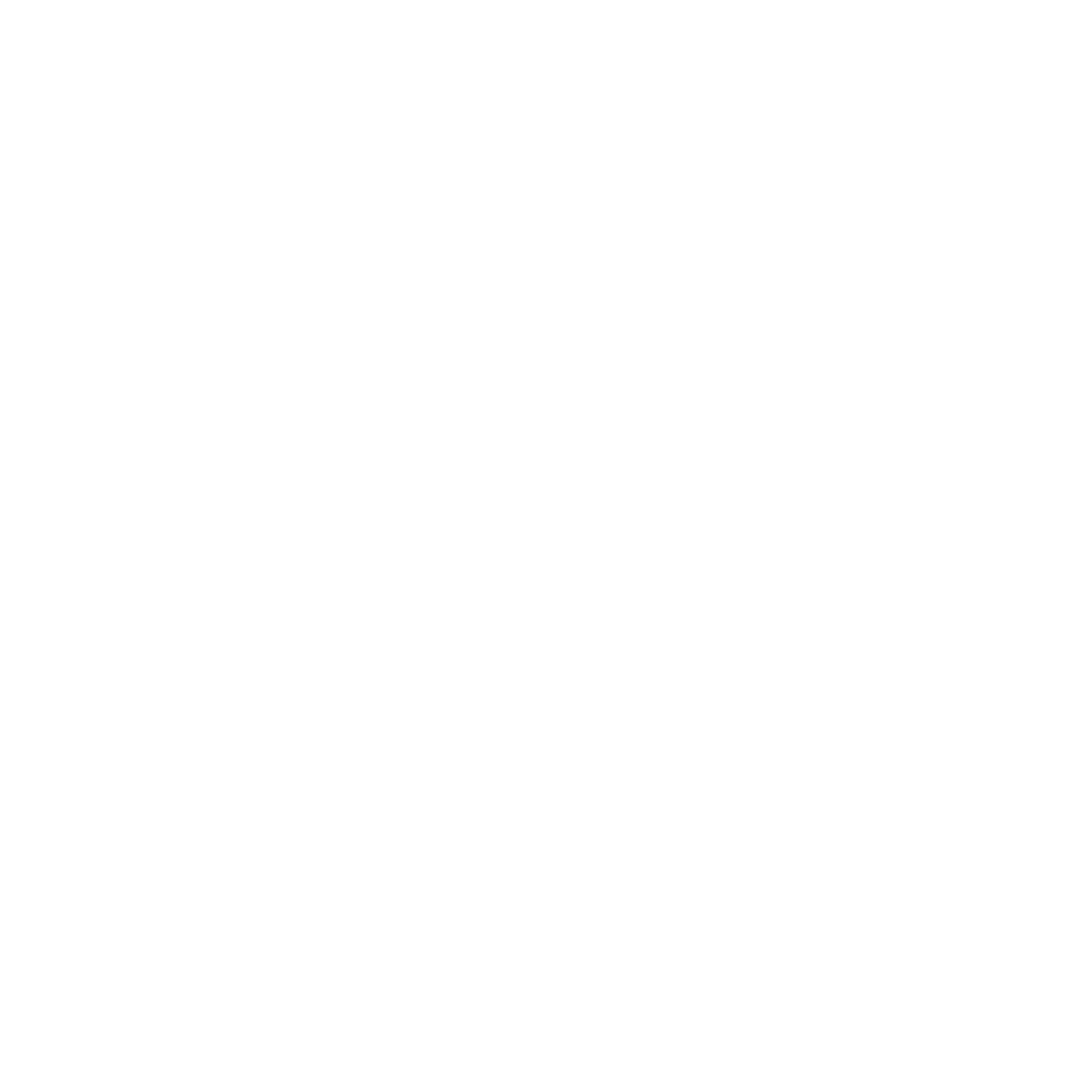 Theme The Hardship and Hope of Immigration